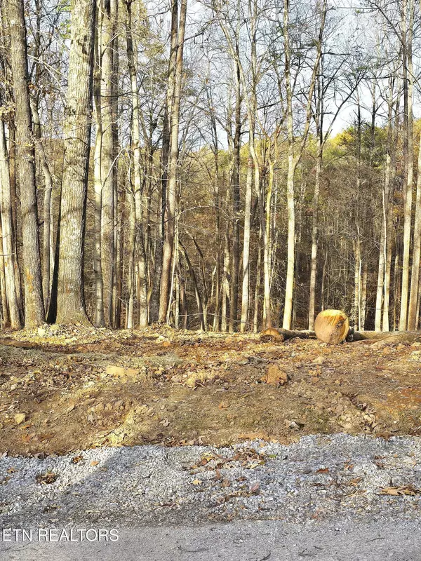 Powell, TN 37849,248 Norman Rd