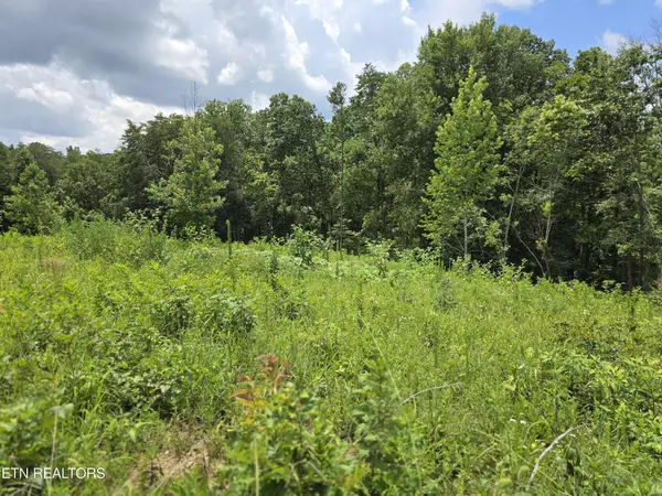 Powell, TN 37849,230 Wells Rd