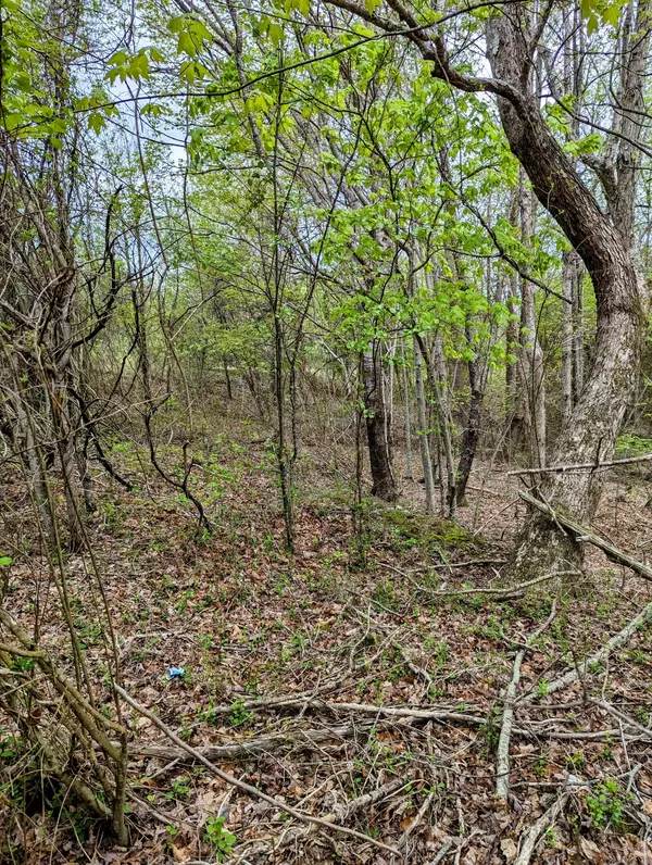 Spencer, TN 38585,0 Surrey Lane