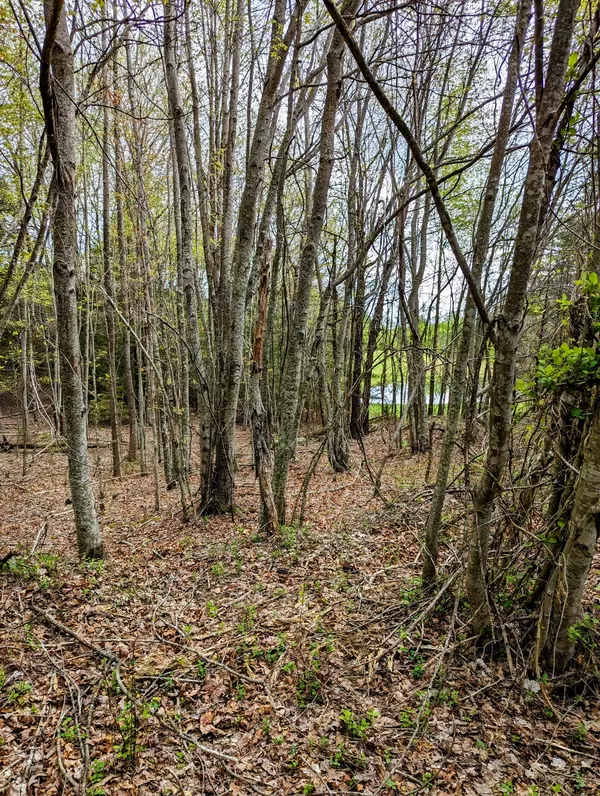 Spencer, TN 38585,0 Surrey Lane