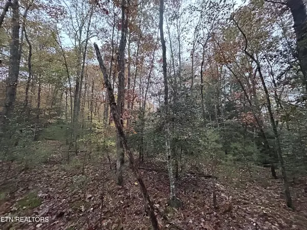 Jamestown, TN 38556,0 Graveyard Rd E/O Rd