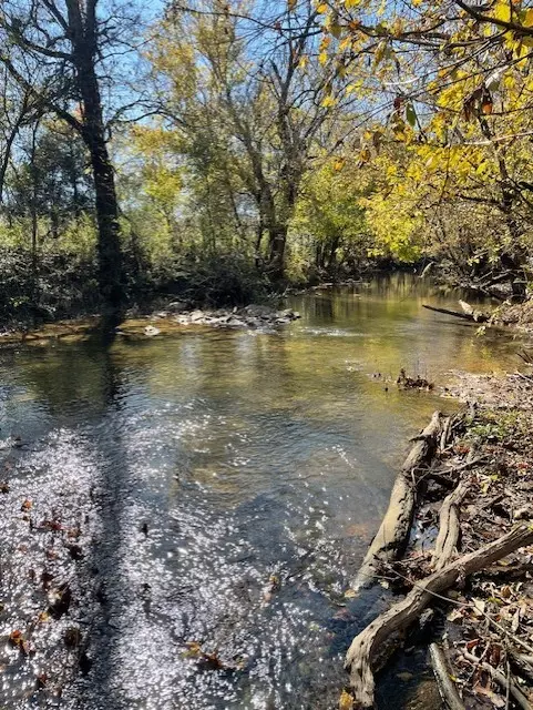 Shelbyville, TN 37160,0 Old Nashville Dirt Rd