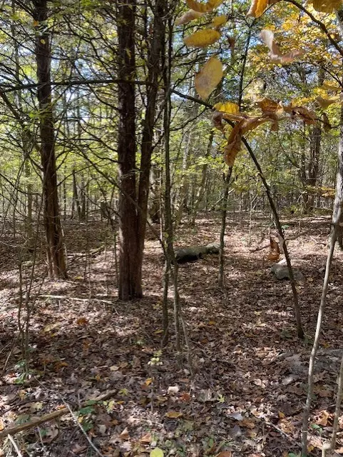 Shelbyville, TN 37160,0 Old Nashville Dirt Rd