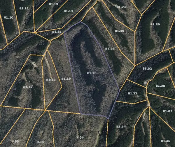 Linden, TN 37096,191 Vista Dr