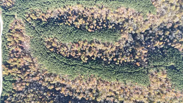 Linden, TN 37096,191 Vista Dr