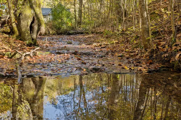 Primm Springs, TN 38476,7489 Shoals Branch Rd