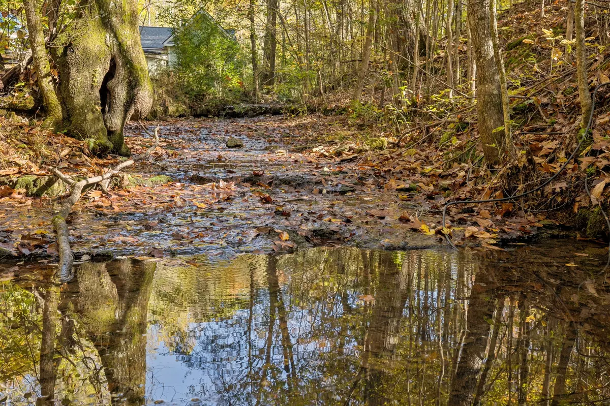 Primm Springs, TN 38476,7489 Shoals Branch Rd