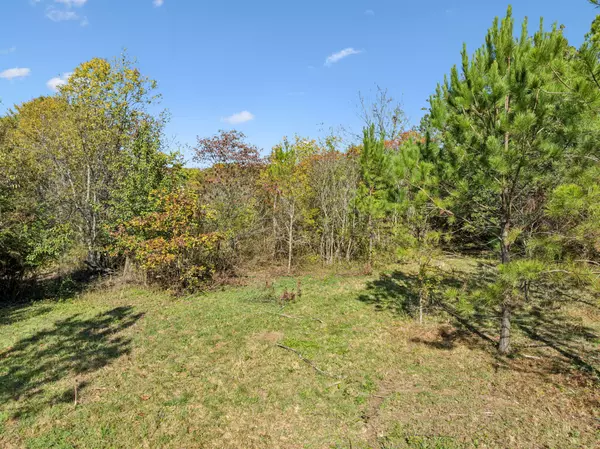 Primm Springs, TN 38476,7489 Shoals Branch Rd