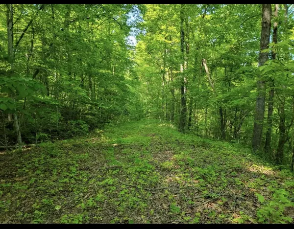 0 Shetland trace, Sparta, TN 38583