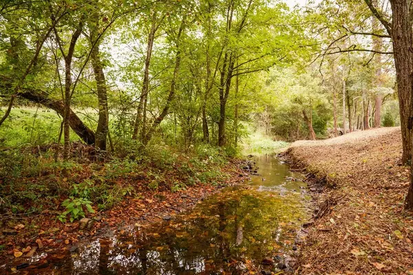 Franklin, TN 37064,5191 Still House Hollow Rd