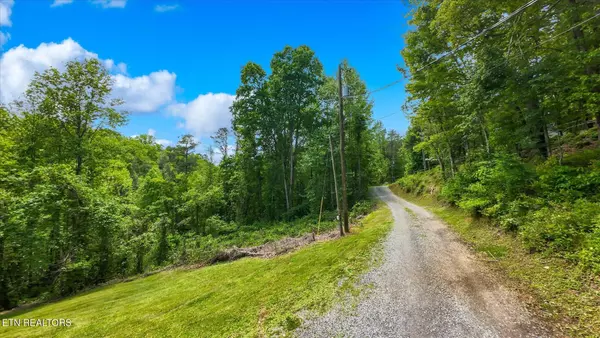 Gatlinburg, TN 37738,11 Lake Drive