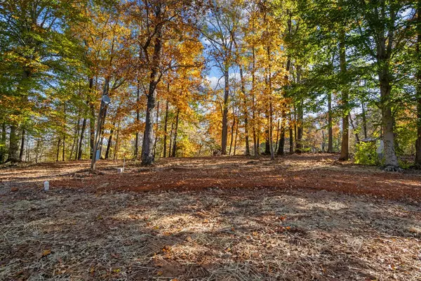 Buchanan, TN 38222,12225 Off Highway 79 #N