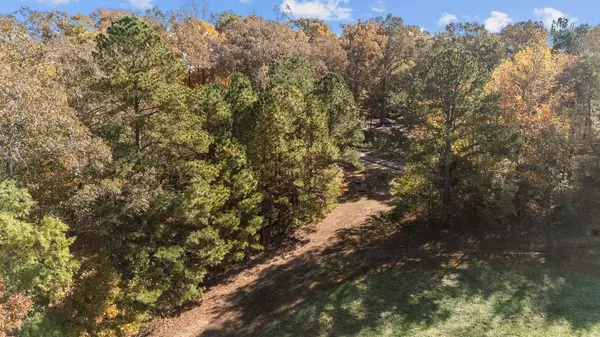 Buchanan, TN 38222,12225 Off Highway 79 #N