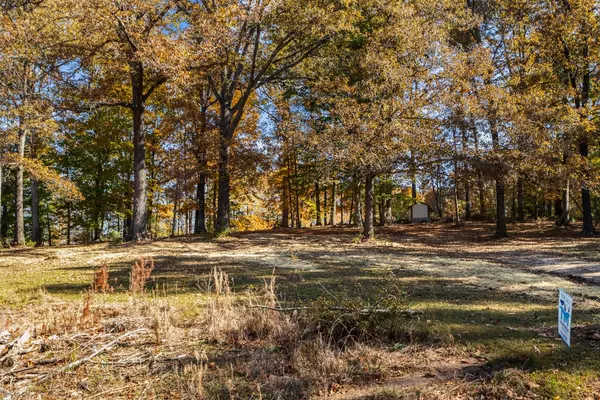 Buchanan, TN 38222,12225 Off Highway 79 #N