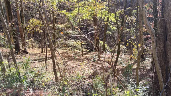 Smithville, TN 37166,16 Lake View