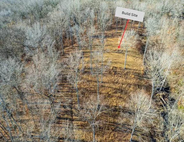 Dover, TN 37058,164 Lewis Cir