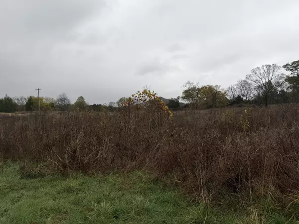 Bethpage, TN 37022,2 Hog Hollow Ln