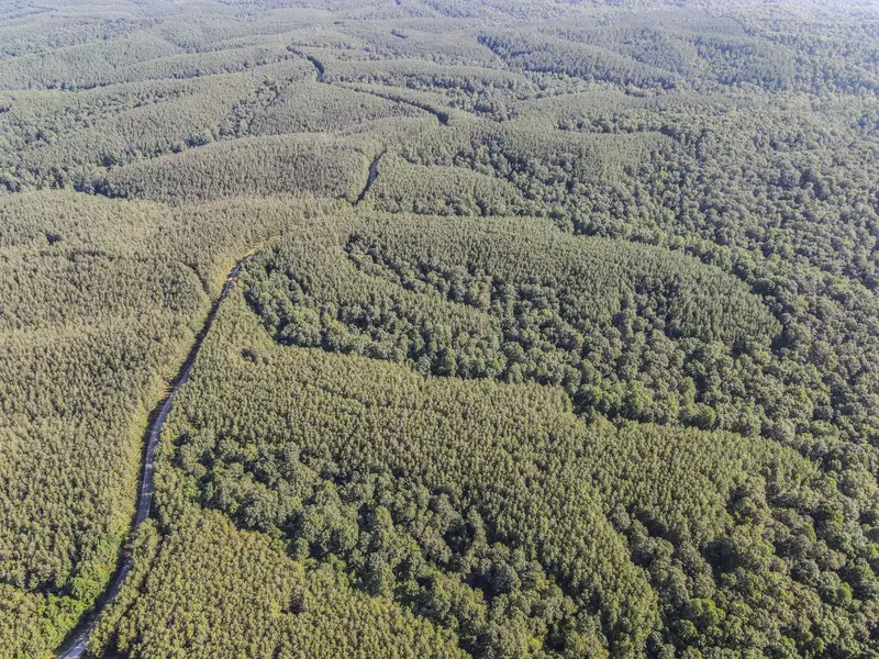 0 Brush Creek Rd, Hohenwald, TN 38462