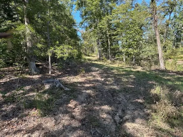 Camden, TN 38320,1 Firetower Rd