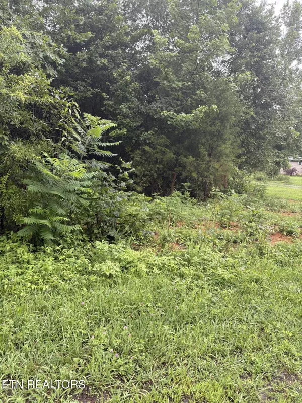 Decatur, TN 37322,349 Carolyn Lane