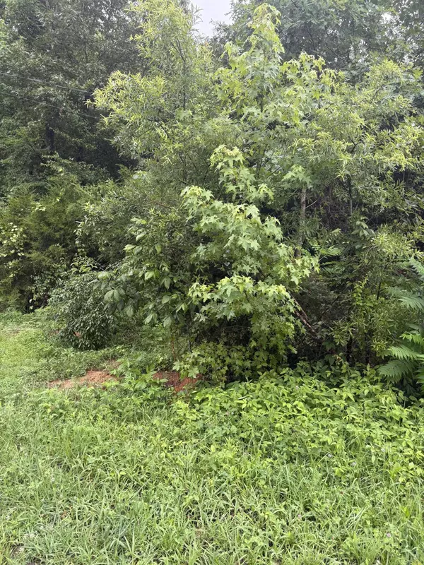 Decatur, TN 37322,349 Carolyn Lane