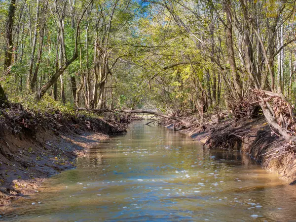 Decaturville, TN 38329,0 Doctor Fisher LN