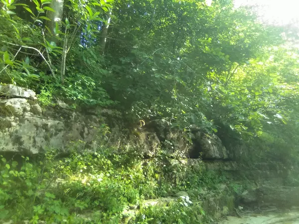 Sparta, TN 38583,2359 Mack Floyd Rd