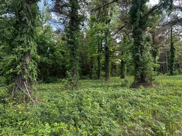 Michie, TN 38357,0 Hwy 57