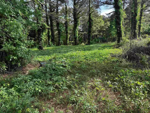 Michie, TN 38357,0 Hwy 57