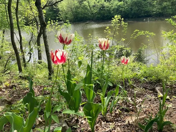 Nashville, TN 37221,7891 Highway 70 #S