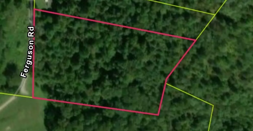 0 Ferguson Road, Cornersville, TN 37047