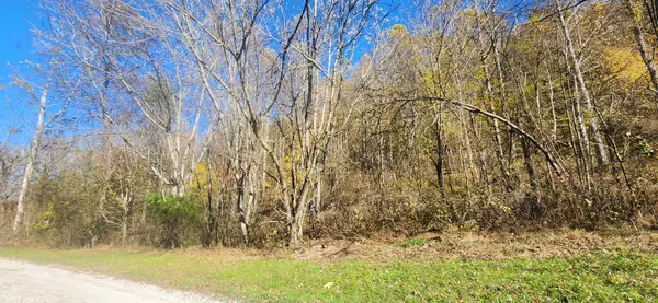 Cornersville, TN 37047,0 Ferguson Road