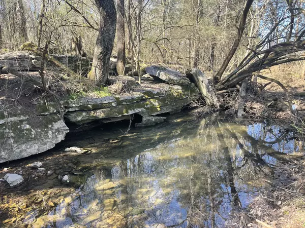 Petersburg, TN 37144,2520 Brown Shop Rd