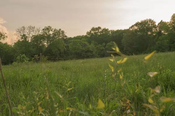 Wartrace, TN 37183,775 Railroad Rd