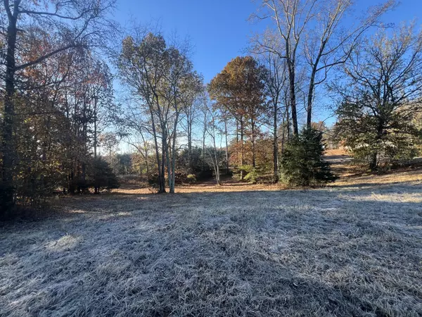 Minor Hill, TN 38473,0 Liberty Hill Road