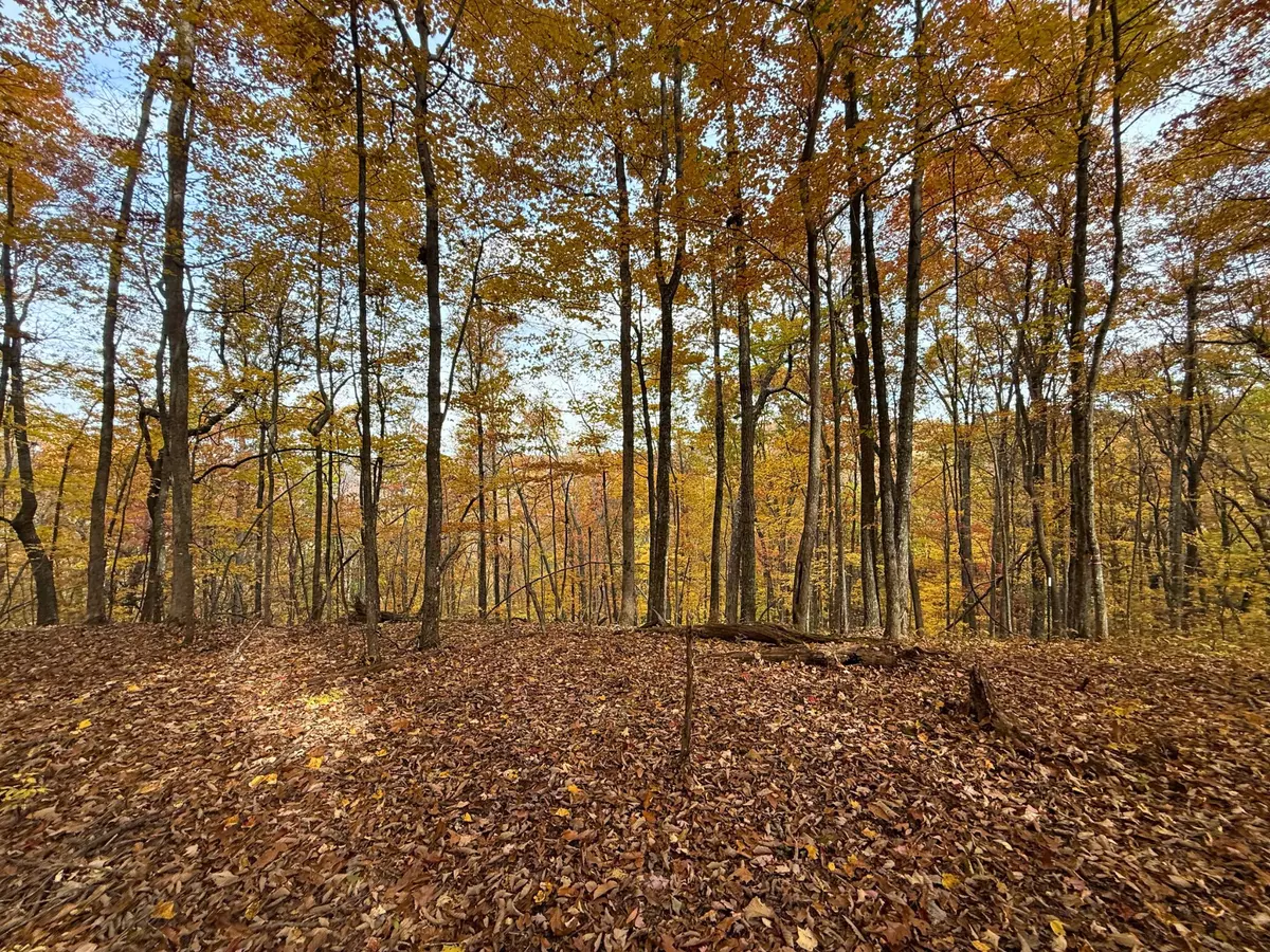 Monterey, TN 38574,540 Cumberland Cove Rd