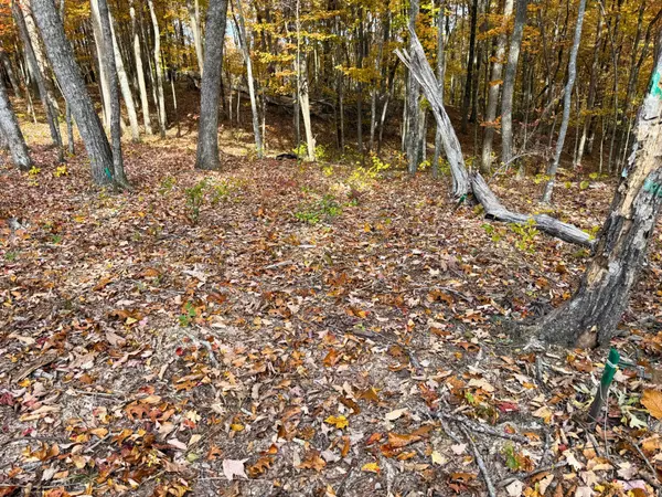 Monterey, TN 38574,540 Cumberland Cove Rd