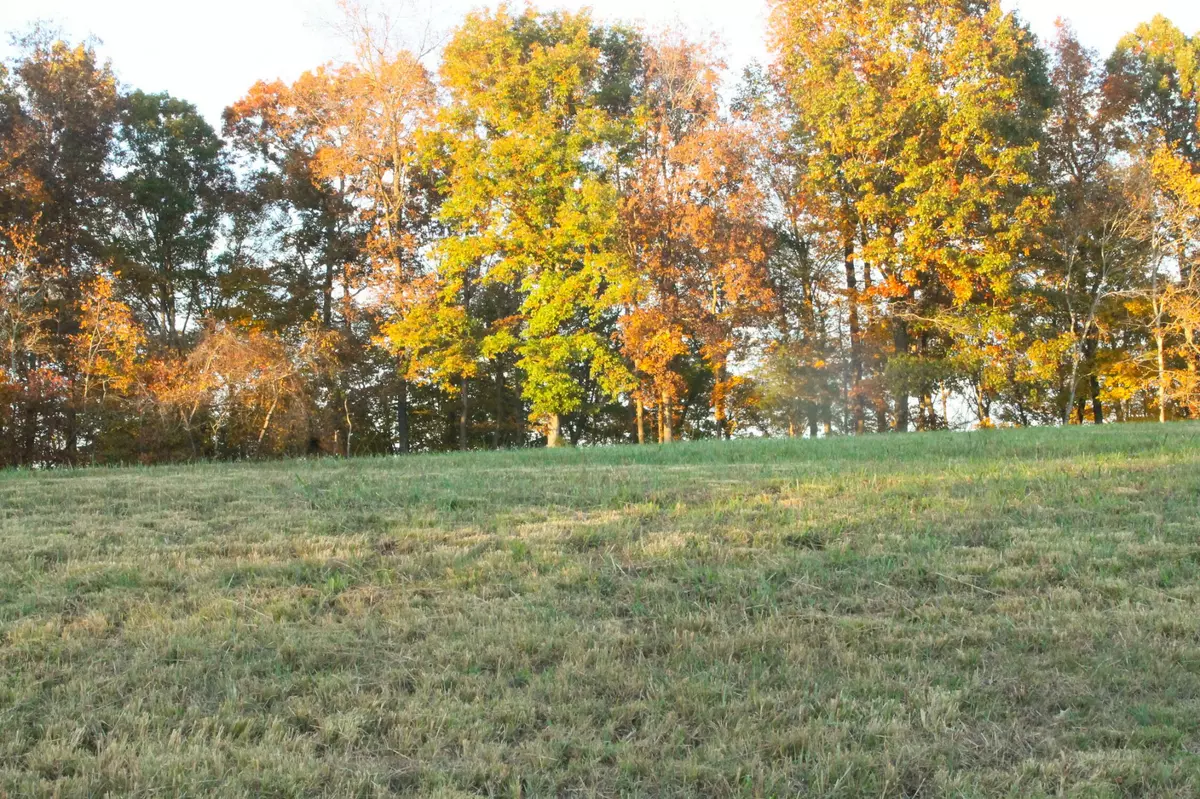 Adams, TN 37010,125 Miramare WAY