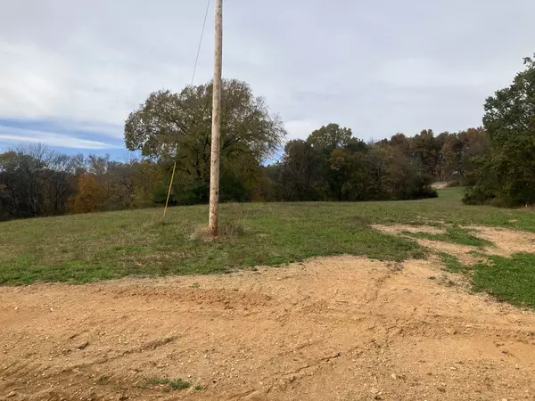 Mount Pleasant, TN 38474,7 Booker Ridge RD