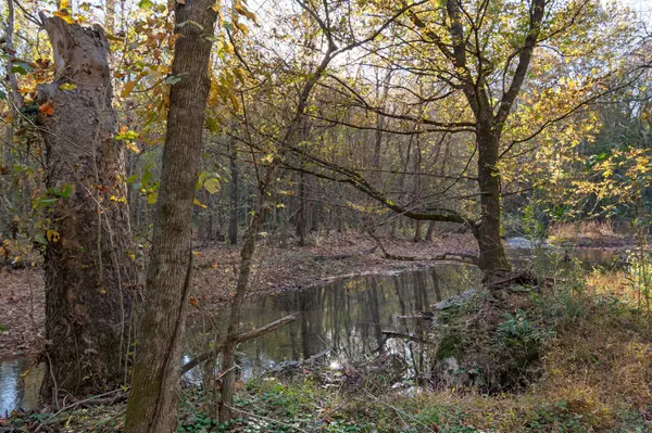 Linden, TN 37096,0 Short Creek Rd