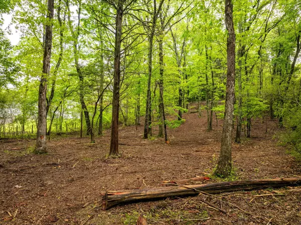 Soddy Daisy, TN 37379,14009 Mt Annie Church Road