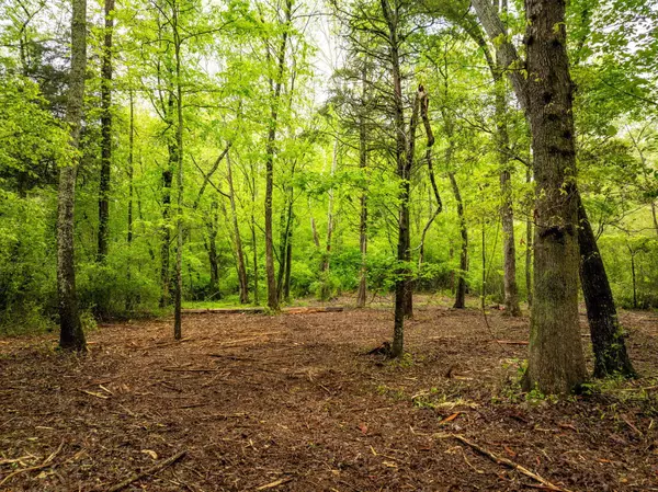 Soddy Daisy, TN 37379,14009 Mt Annie Church Road