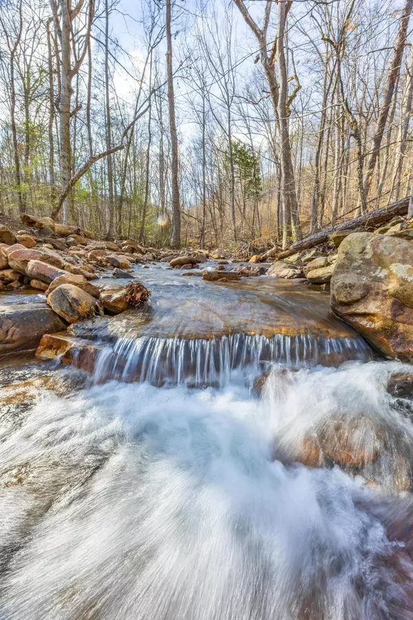 Pikeville, TN 37367,0 Lee Station Mountain Road