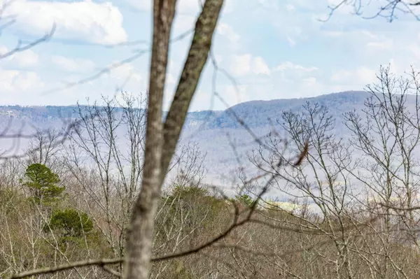 Pikeville, TN 37367,0 Lee Station Mountain Road