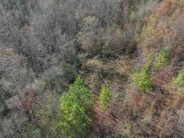 Five Points, TN 38457,0 Hood Hollow Rd