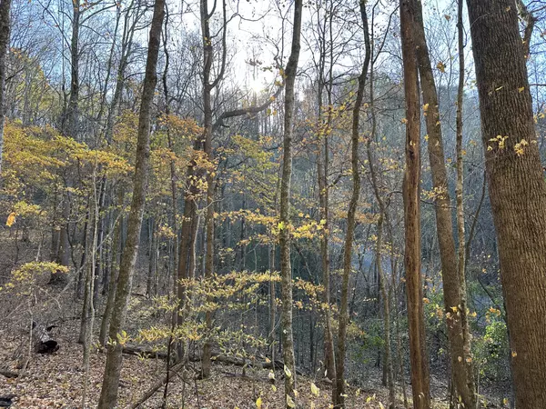 Smithville, TN 37166,0 Lake View Drive