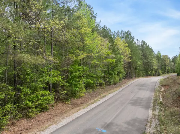 Bethel Springs, TN 38315,0 Curtis Hill Church Rd