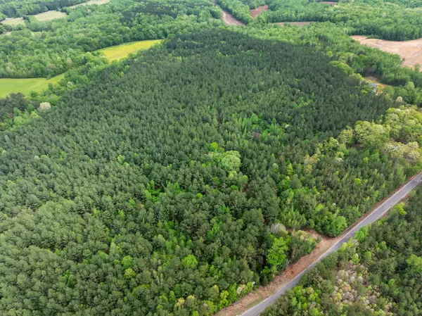 Bethel Springs, TN 38315,0 Curtis Hill Church Rd