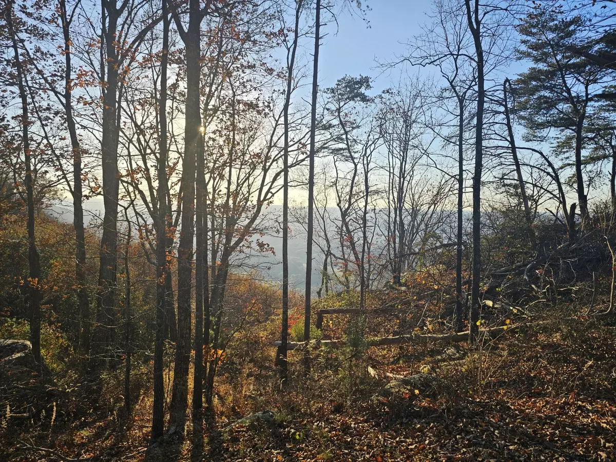 Lookout Mountain, GA 30750,407 Brow Wood Lane