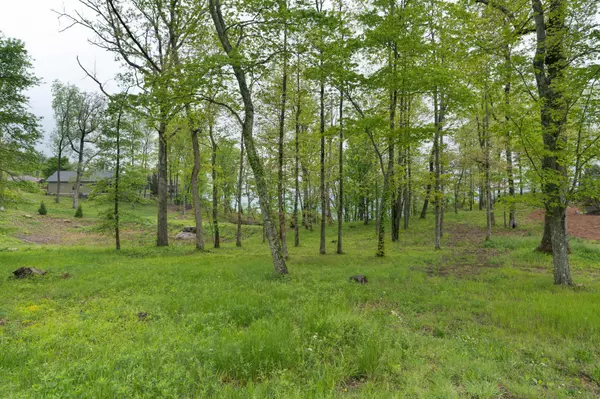 Lookout Mountain, GA 30750,407 Brow Wood Lane